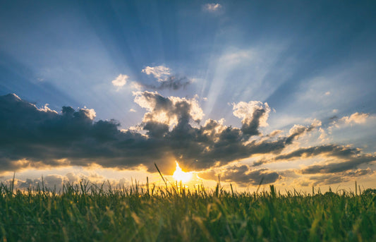Summer sun setting over a grassy field on a partially cloud evening with beams of light emanating from the center